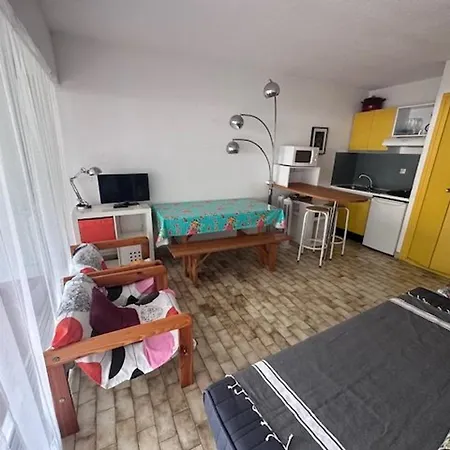 Studio-cabine 4 Pers, Terrasse, Jardin, Parking, Animaux Admis - Fr-1-731-99