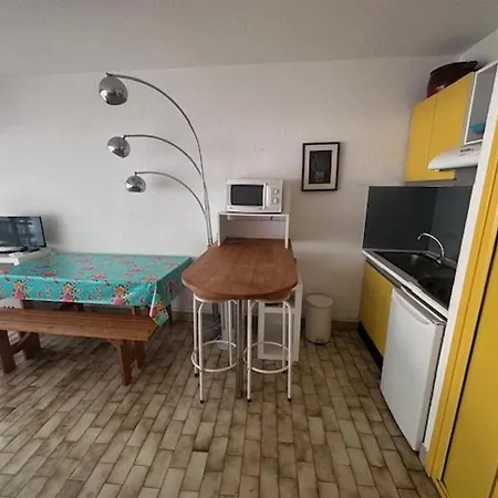 Studio-cabine 4 Pers, Terrasse, Jardin, Parking, Animaux Admis - Fr-1-731-99 * Le Grau-du-Roi