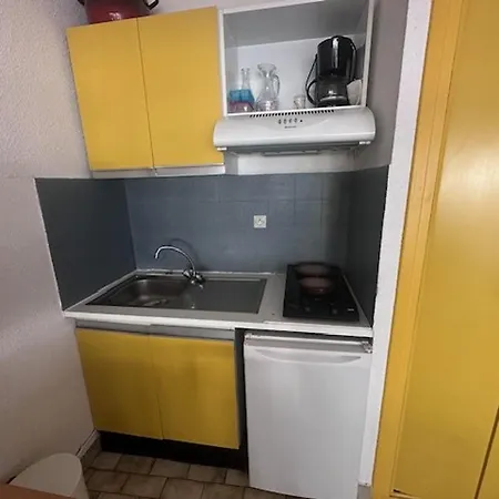 Studio-cabine 4 Pers, Terrasse, Jardin, Parking, Animaux Admis - Fr-1-731-99 Appartamento