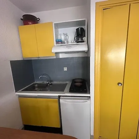 Appartamento Studio-cabine 4 Pers, Terrasse, Jardin, Parking, Animaux Admis - Fr-1-731-99 *